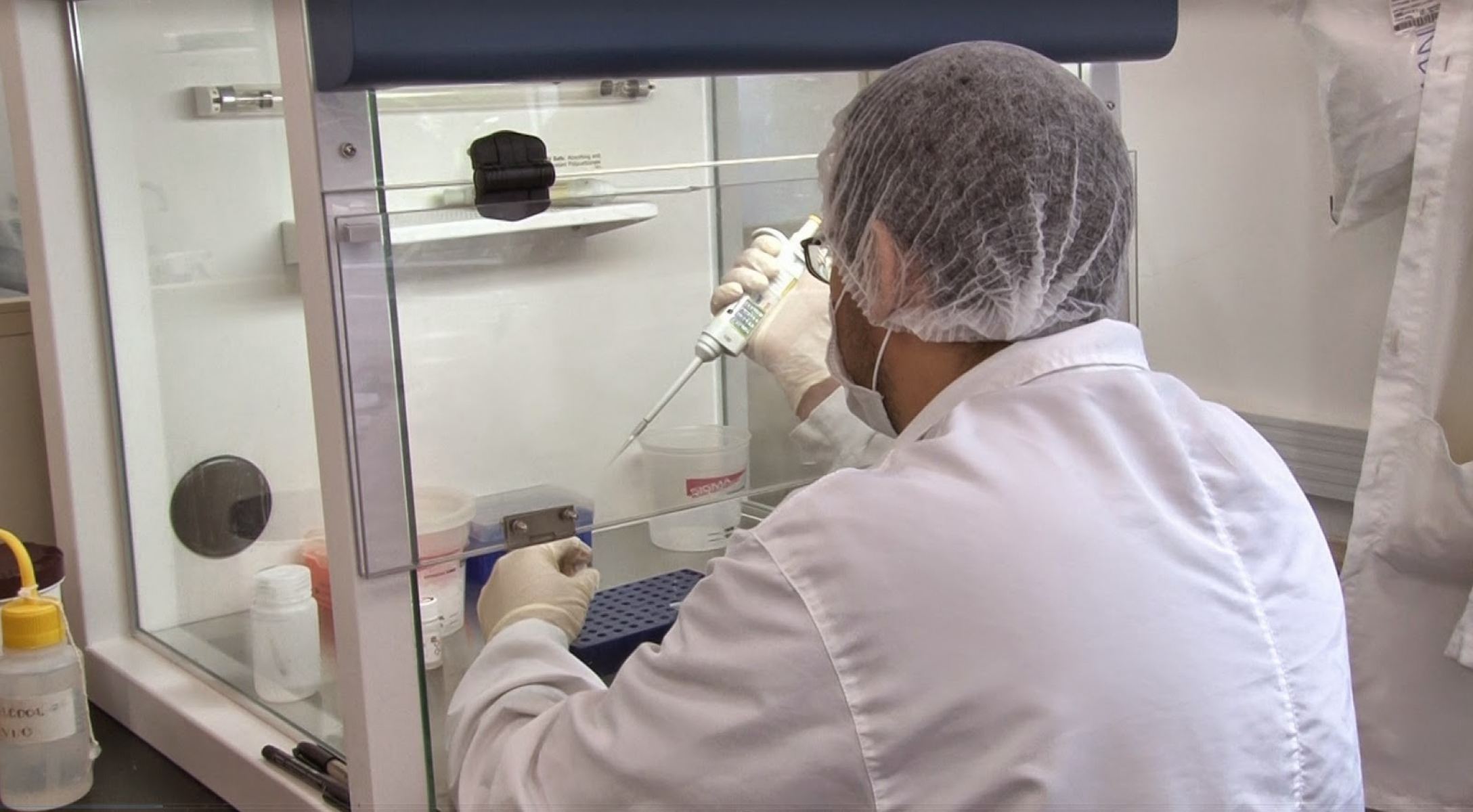  Instituto Evandro Chagas desenvolve vacina contra o zika