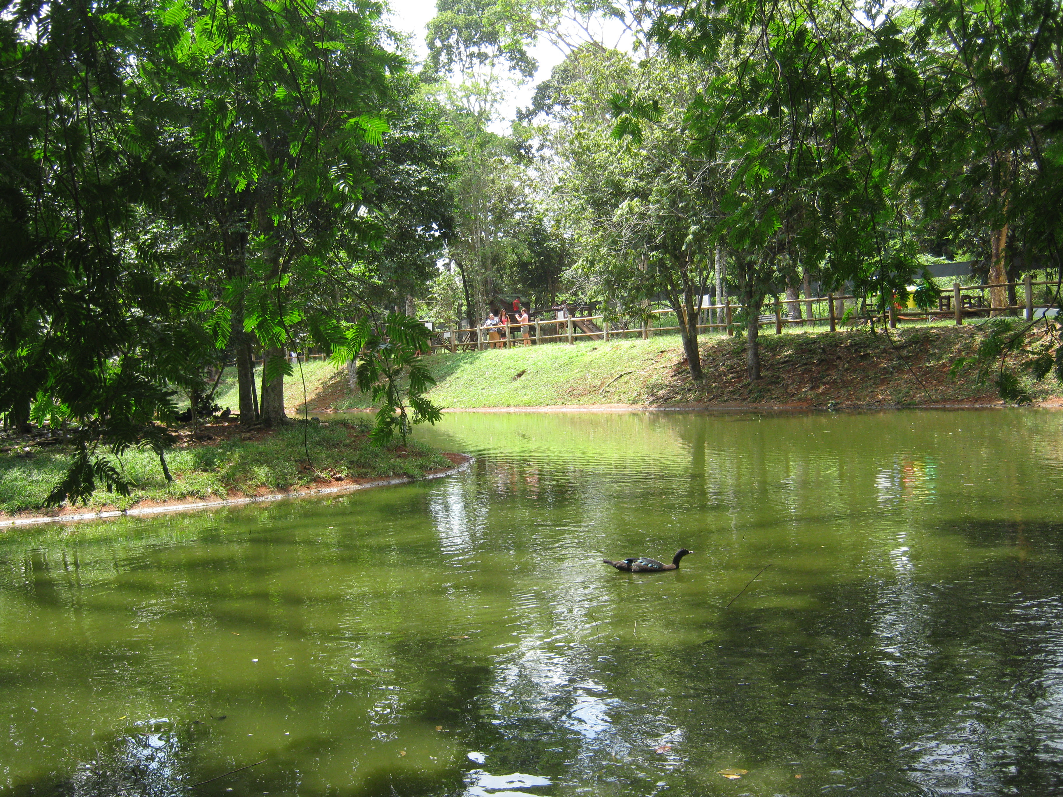  Em Carajás, Parque Zoobotânico Vale está recebendo melhorias