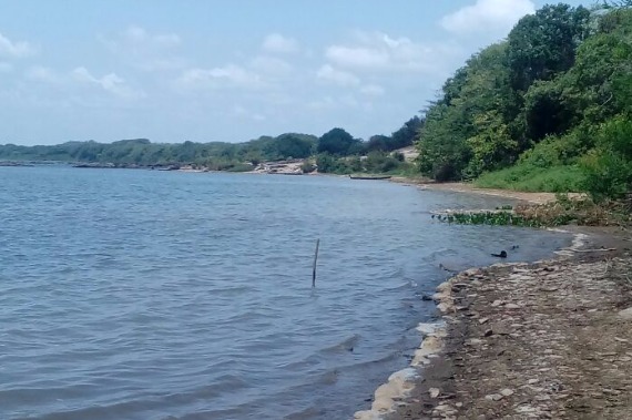  Marabá sofre racionamento de água por conta do baixo nível do Rio Tocantins