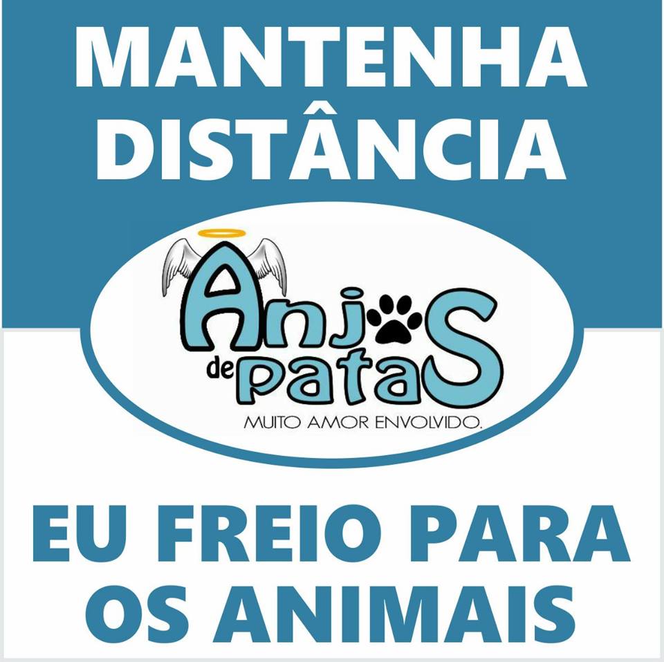  ‘Anjo de Patas’ idealiza campanha contra atropelamento de animais em Parauapebas