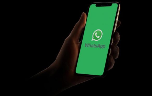  WhatsApp tem falha e “online” e “digitando” são desabilitados
