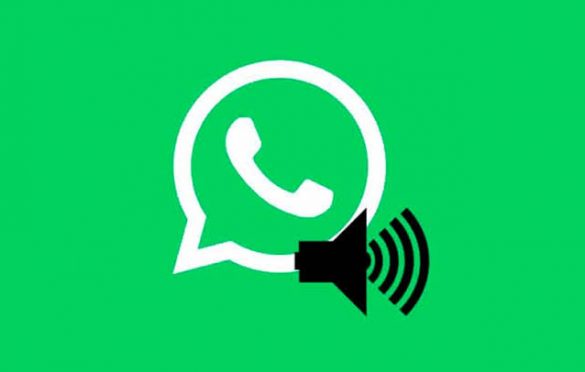  Parauapebas um “mundo de bolhas” constituídas em grupos de WhatsApp
