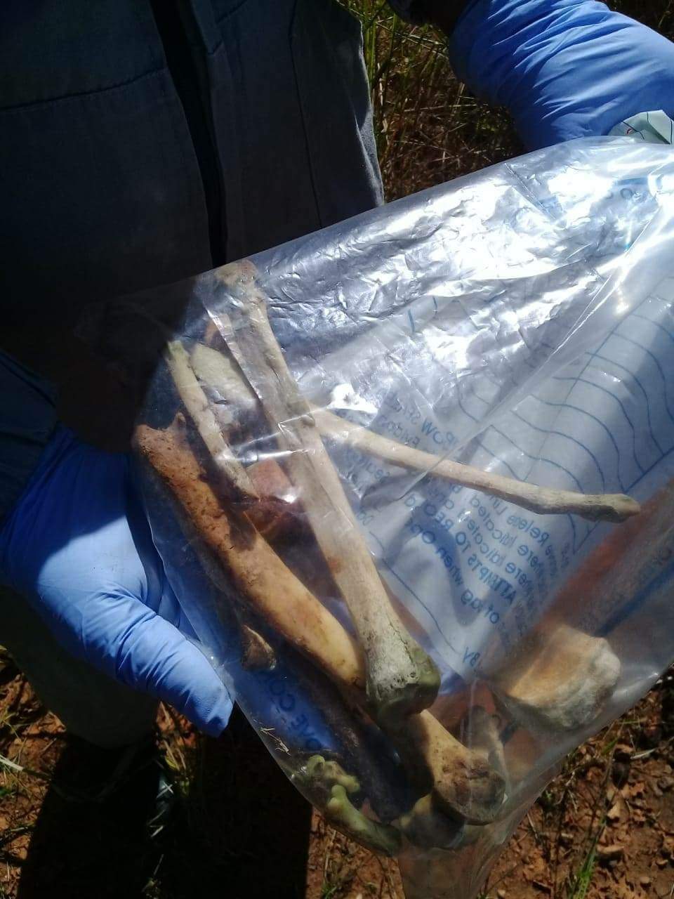  Ossos encontrados em matagal do bairro Nova Carajás pode ser humanos