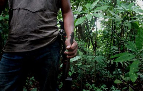  Homens são pegos caçando em unidade de preservação da Floresta Nacional de Carajás