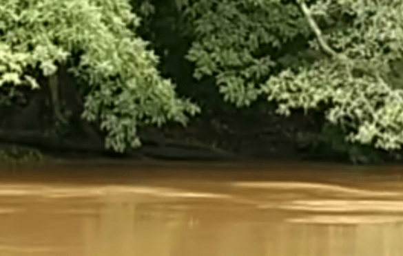  Nível do Rio Parauapebas sobe e Defesa Civil monitora áreas de risco
