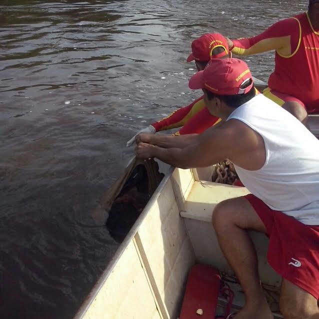  Corpo de bombeiros realiza buscas para encontrar corpo de homem afogado e encontra outro corpo no Rio Parauapebas