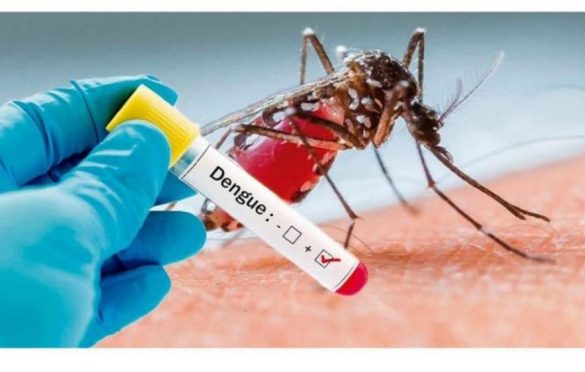  Pará já tem 2.069 casos confirmados de Dengue, segundo Ministério da Saúde