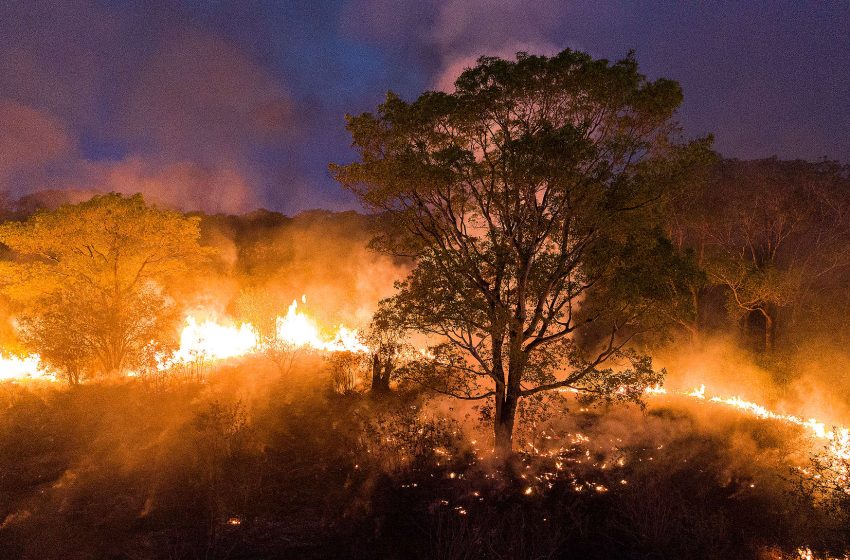  Cidade Jardim lidera os focos de queimadas em Parauapebas
