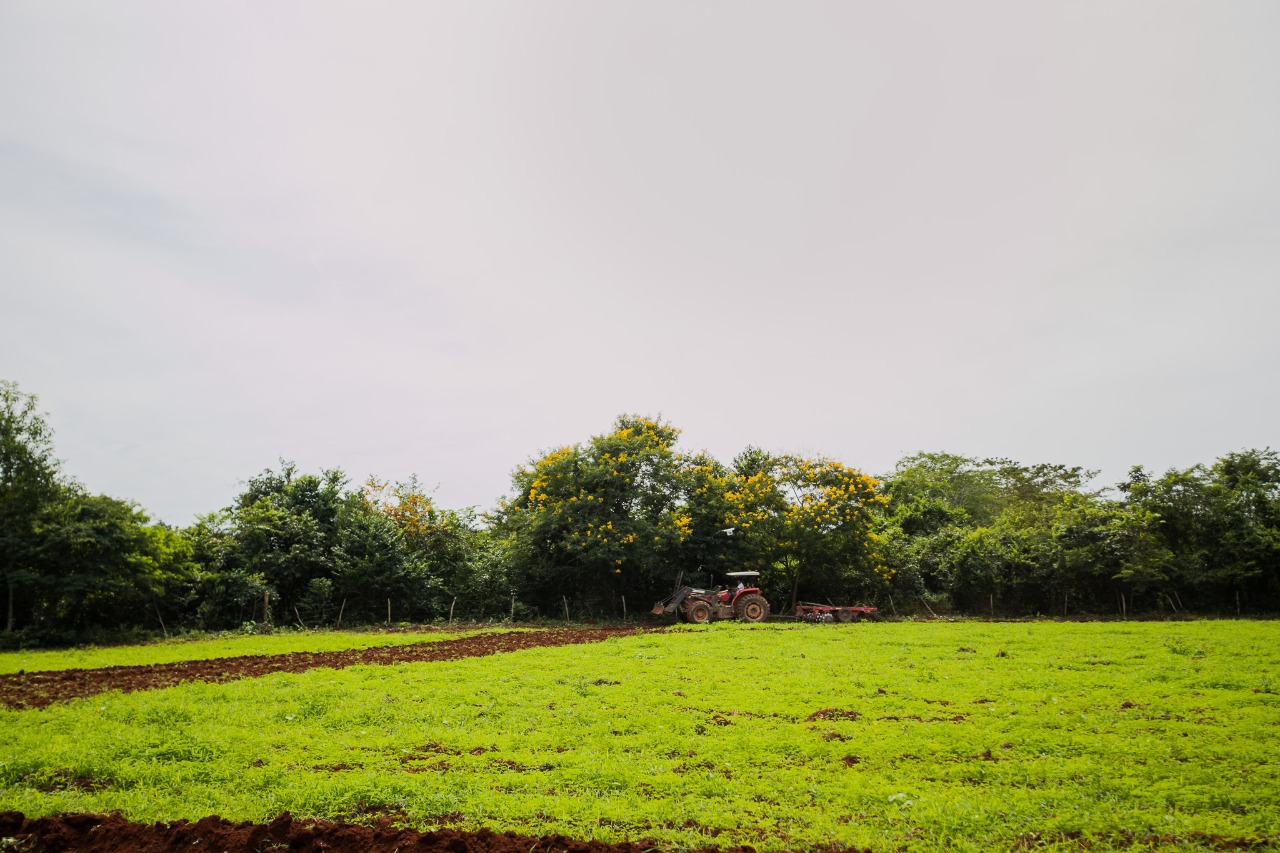  Parauapebas 33 anos: prefeitura lança programa de fomento à produção agrícola