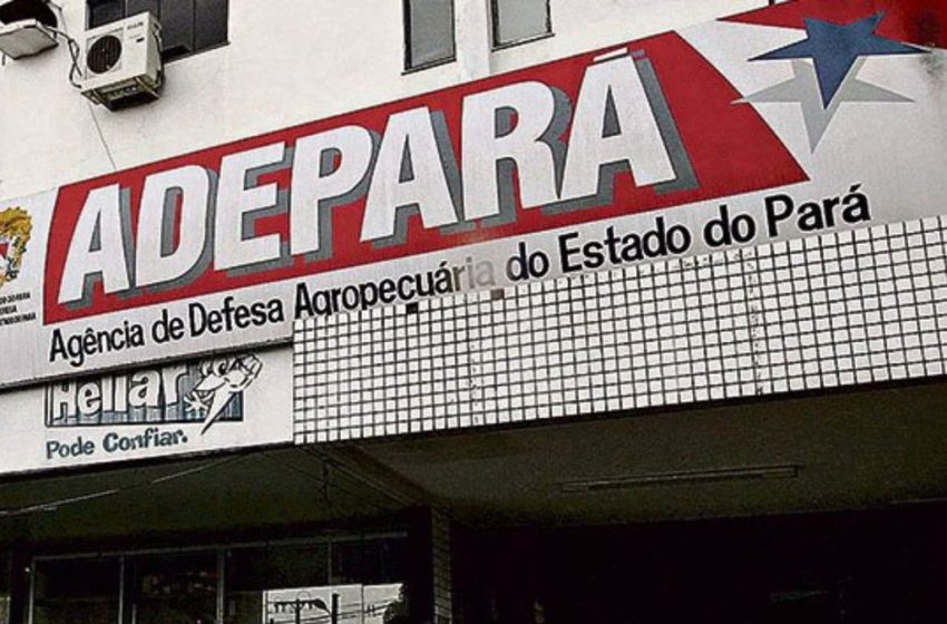  Estado entrega nova sede da Regional da Adepará em Redenção