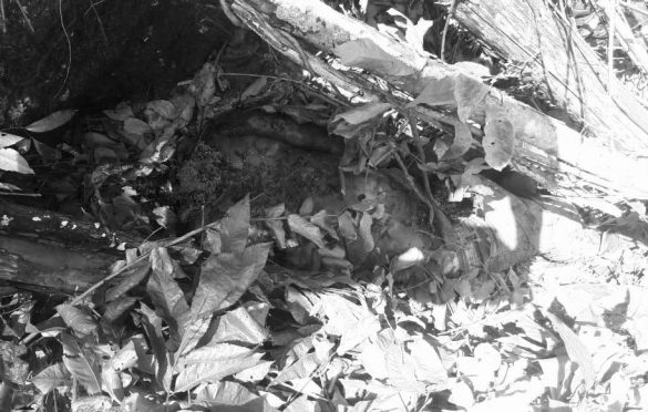  Corpo sem a cabeça e em decomposição é encontrado em Canaã dos Carajás