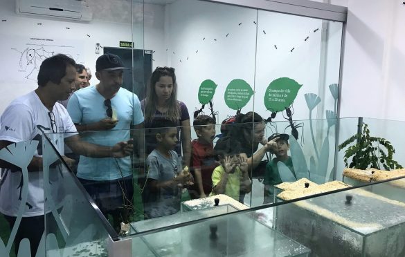  Parque Zoobotânico Vale inaugura formigueiro em programação do mês das crianças