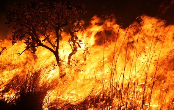  Sem plano de combate, número de queimadas aumenta e população de Parauapebas sofre