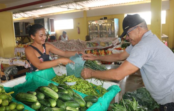  Projeto de fruticultura contribui para o fortalecimento da agricultura familiar em Parauapebas