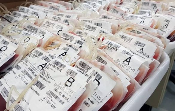  Cerca de 30% do sangue coletado no Hemopa favorece pacientes com câncer